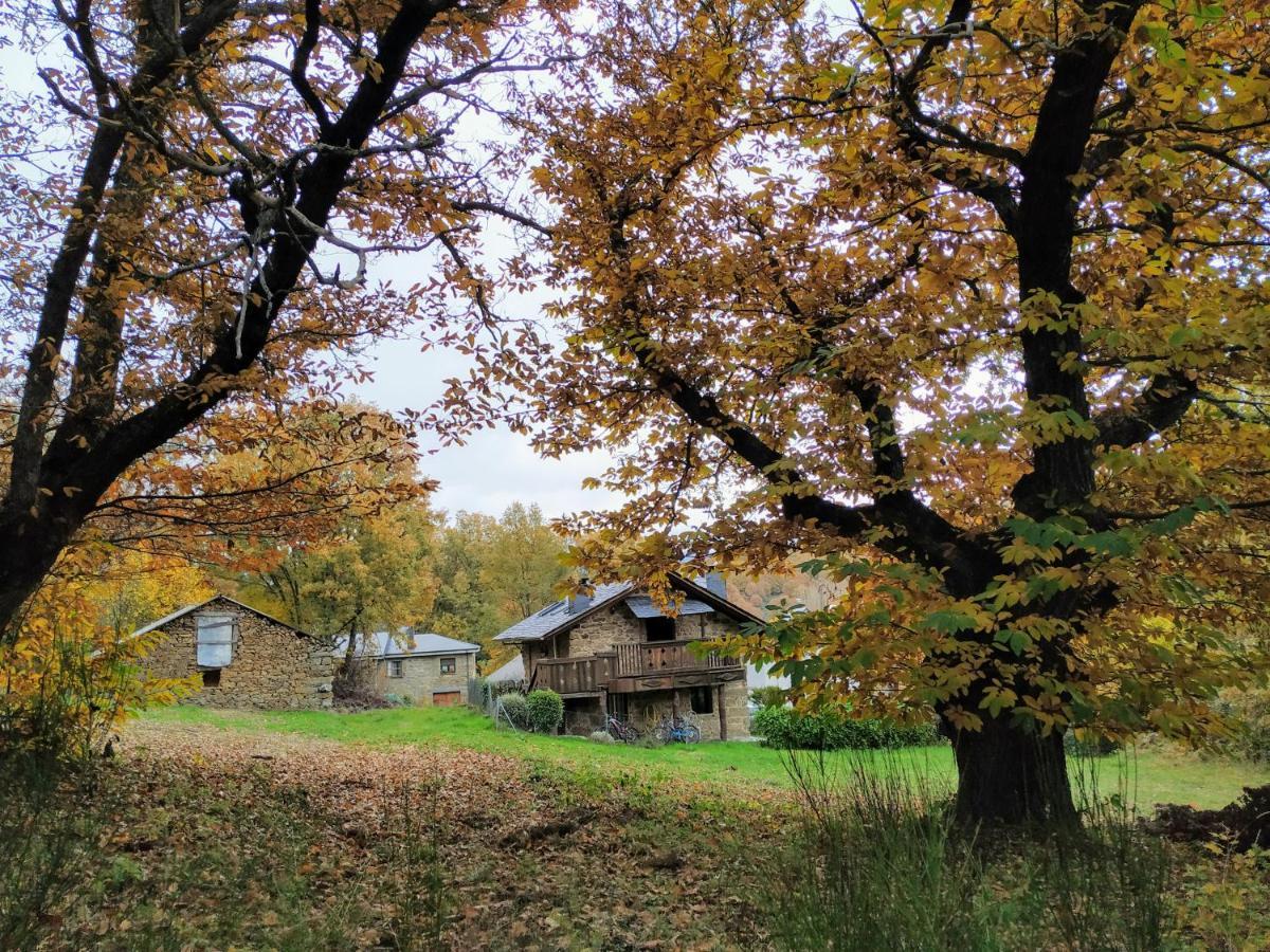 La Era De Sanabria Villa Villarino de Sanabria Eksteriør bilde