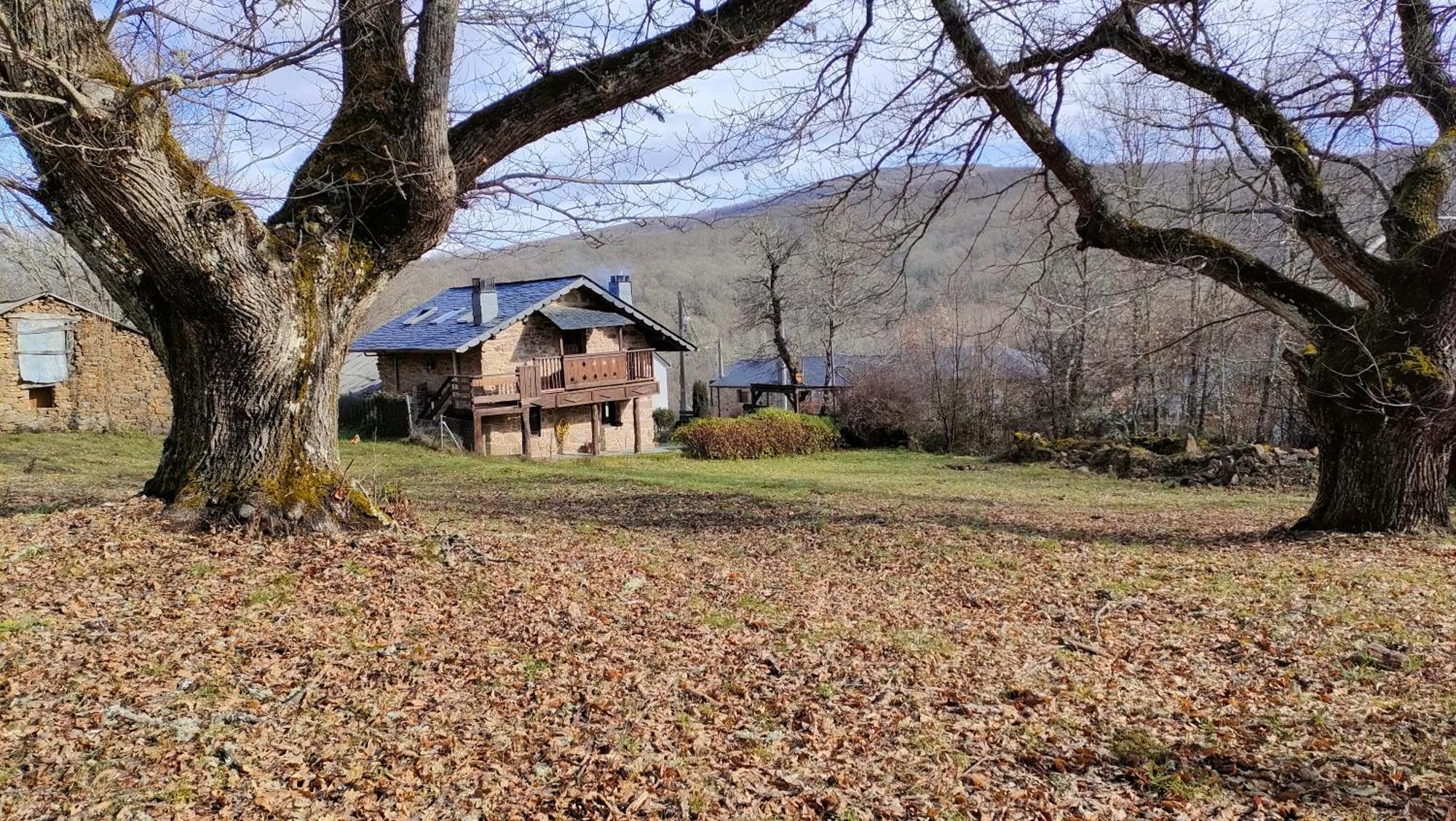 La Era De Sanabria Villa Villarino de Sanabria Eksteriør bilde