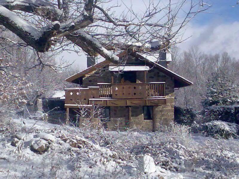 La Era De Sanabria Villa Villarino de Sanabria Eksteriør bilde