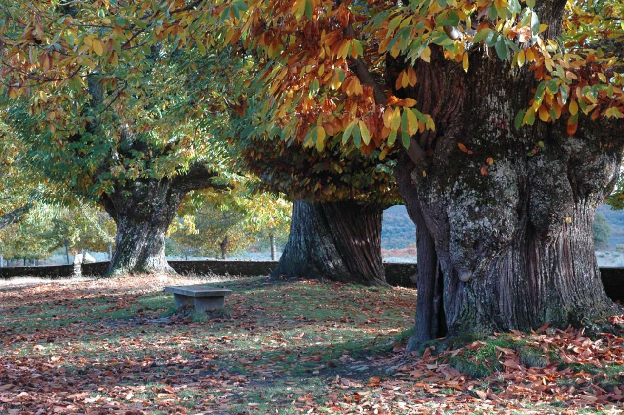 La Era De Sanabria Villa Villarino de Sanabria Eksteriør bilde